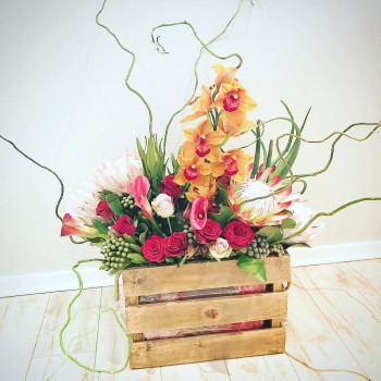 28424080_568476293513473_2344415627614920696_o