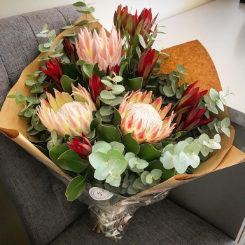 58462871_843421336018966_7971541313776517120_o