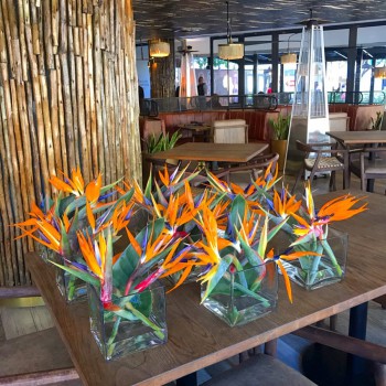 61877027_866391063721993_3393997875875676160_o