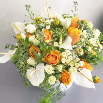 67554431_903492686678497_3022142244497915904_o