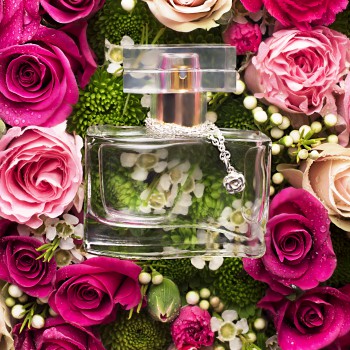 Product Shot Mango 1.1